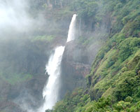 Waterfalls in Mahabaleshwar